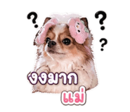 858444226