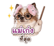 858444240