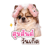 858444247