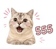 858444463