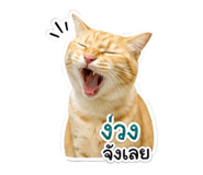 858444872