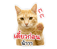 858444875
