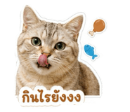 858444879