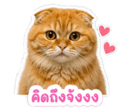 858444880