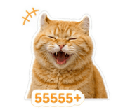 858444886