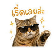 858444893