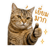 858444897