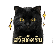 858446233