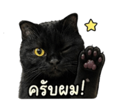 858446234