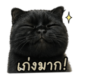 858446239