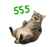858446587
