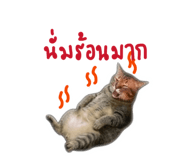 858446591