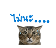 858446598