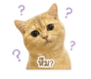 858447432