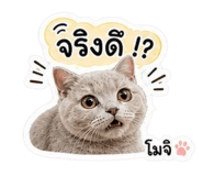 858447698
