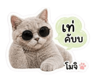 858447699