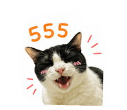 858448087