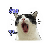 858448093