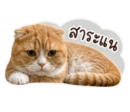 858449712