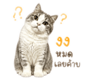 858450195