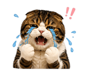 858451658