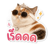 858451814