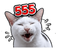 858452058