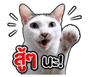 858452068