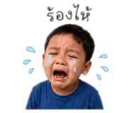 858452590