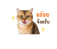 858452643