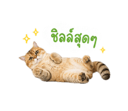 858452651