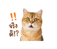 858452652