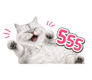 858452922