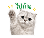 858452931