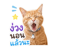 858453226