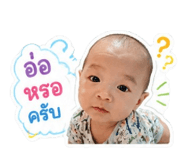 858453333