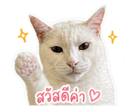 858453425