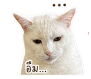 858453433