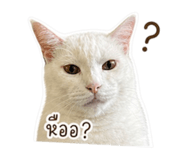 858453434