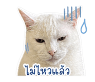 858453436