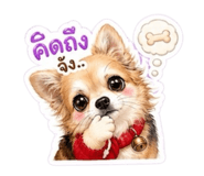 858453638