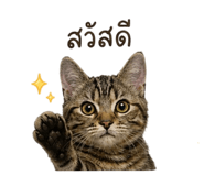 858454673