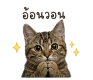 858454682