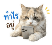 858454808