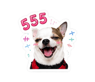 858455035