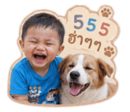 858455136