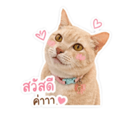 858455419