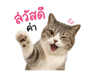 858455449