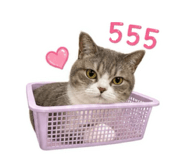 858455454