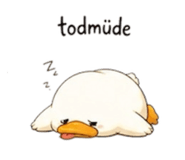 858455484